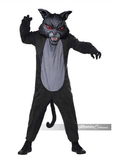 arlenescostumes148710