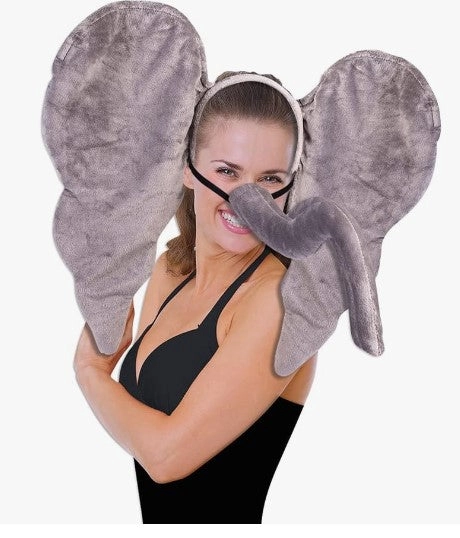 arlenescostumes191109