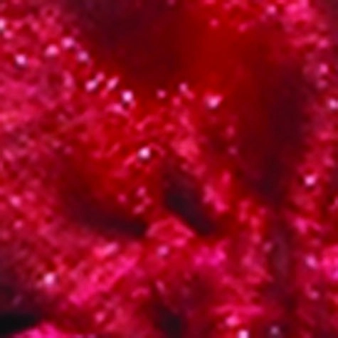 christmascentral3156410