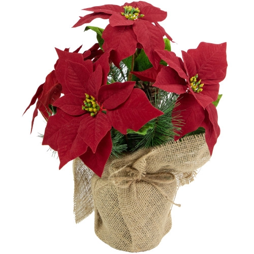 christmascentral3310550