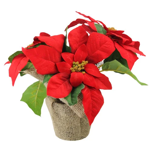 christmascentral3378180