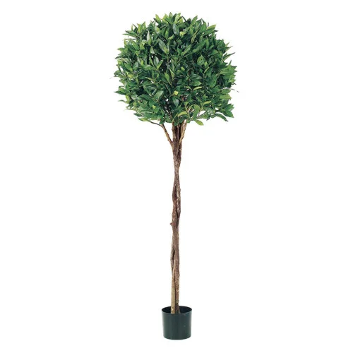 christmascentral3414259