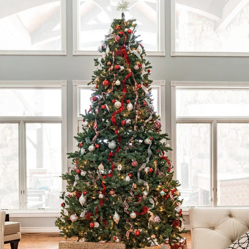 christmascentral3462949