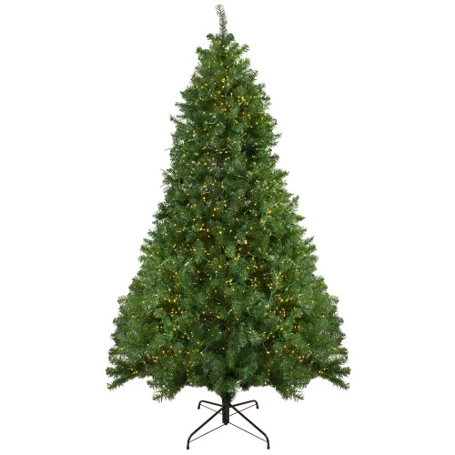 christmascentral3845348