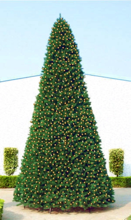 christmascentral4033700