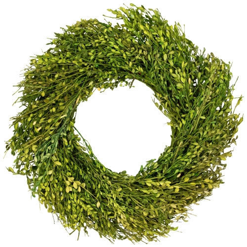 christmascentral41825