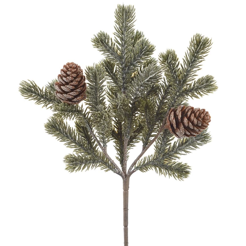 christmasinamerica115417