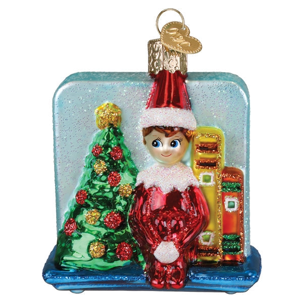 christmastraditions121557