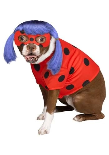halloweencostumes138100