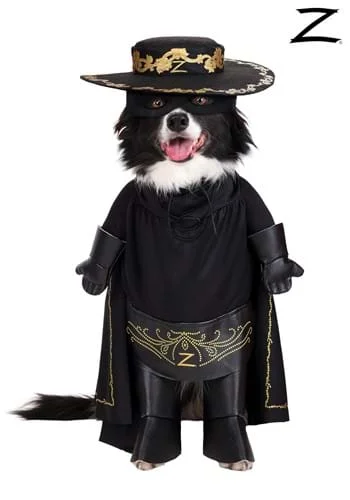 halloweencostumes248246