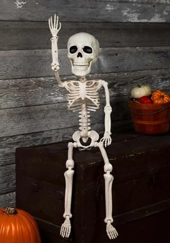 halloweencostumes3033053