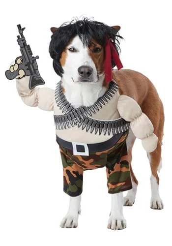 halloweencostumes3056476