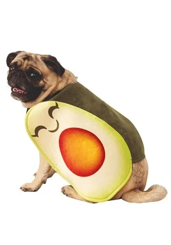 halloweencostumes3057394