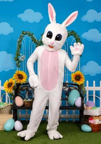halloweencostumes3147862