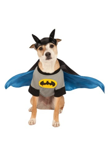 halloweencostumes3244393