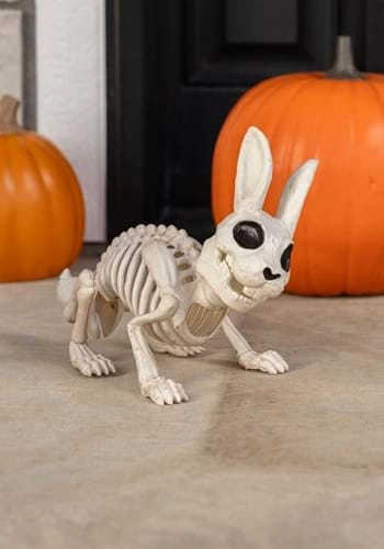 halloweencostumes3284032