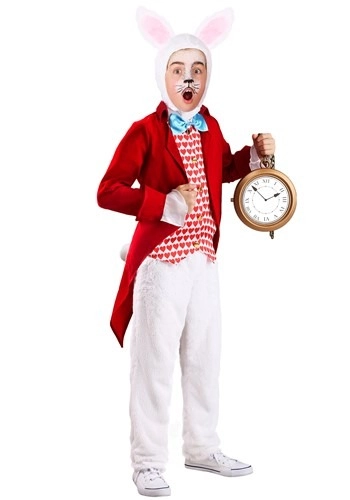 halloweencostumes3331686