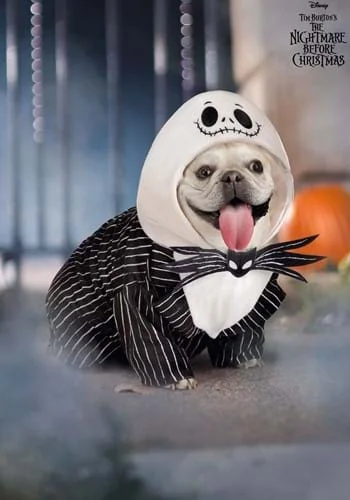 halloweencostumes3388340
