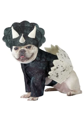 halloweencostumes3396712