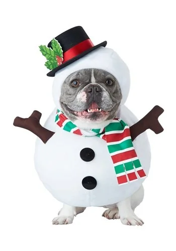 halloweencostumes3397404