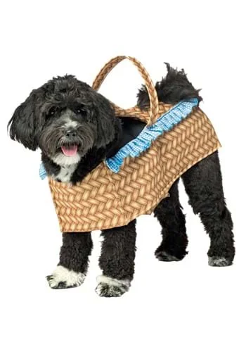 halloweencostumes3397521