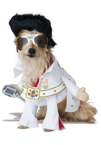 halloweencostumes3412576