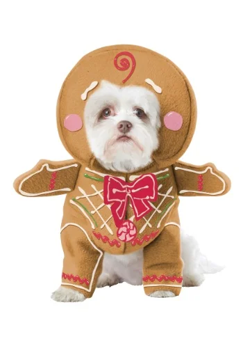 halloweencostumes3460031