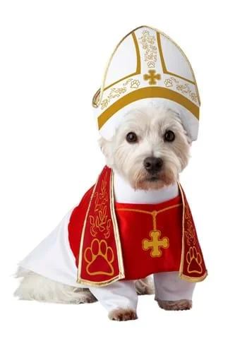 halloweencostumes3568105