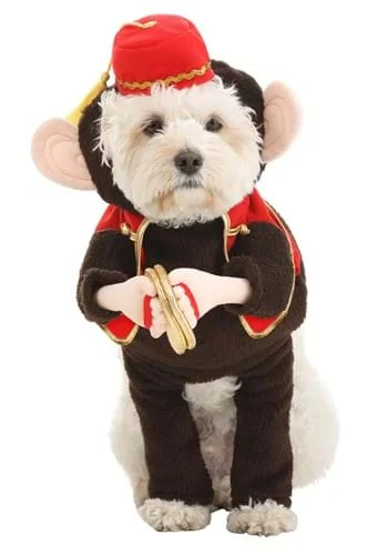 halloweencostumes3844888