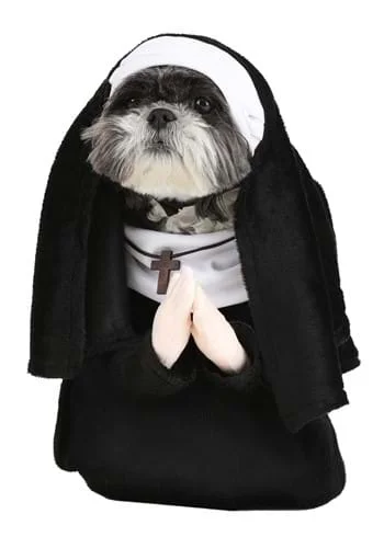 halloweencostumes3863572