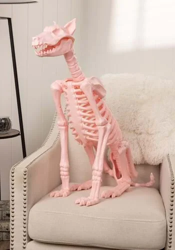 halloweencostumes3966281