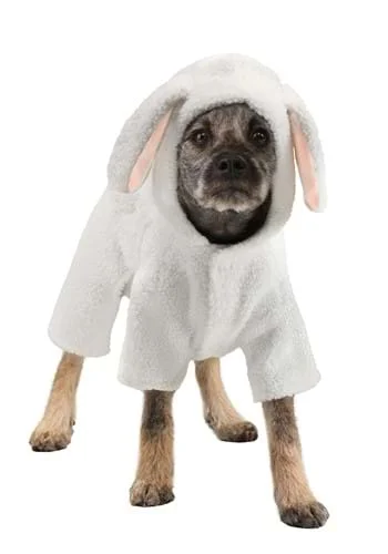 halloweencostumes3978427