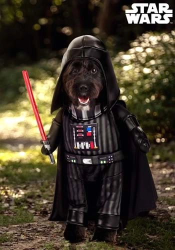 halloweencostumes3993994