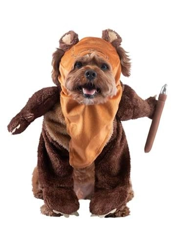 halloweencostumes3994182
