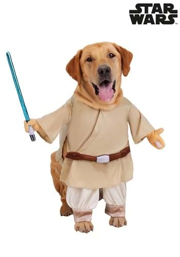 halloweencostumes3994463