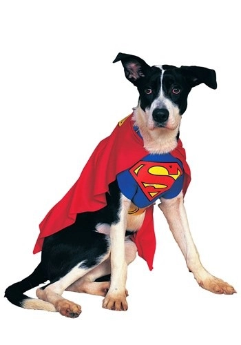 halloweencostumes4000929