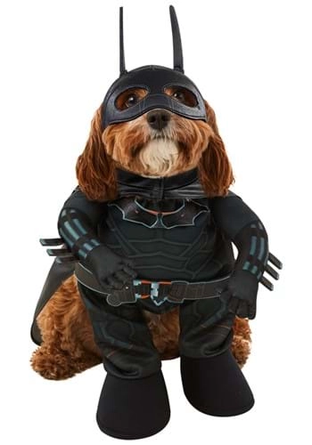 halloweencostumes4006035