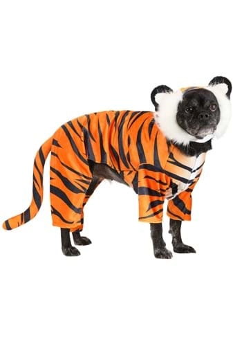 halloweencostumes4012983