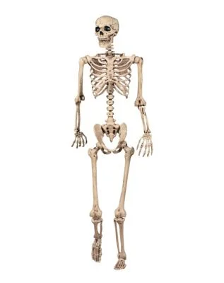 spirithalloween3016903